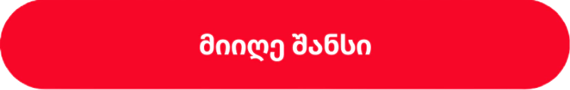 image 2 2 გახდი მილიონერი - თანაბარი შანსი EURO 2024-ზე